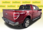 2013 F-150 Thumbnail 4