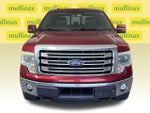 2013 F-150 Thumbnail 15