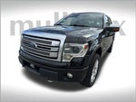 2013 F-150 Thumbnail 10