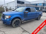 2013 F-150 Thumbnail 1