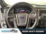 2013 F-150 Thumbnail 12