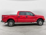 2013 F-150 Thumbnail 3