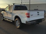 2014 F-150 Thumbnail 3