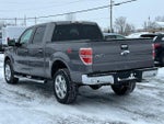 2014 F-150 Thumbnail 12
