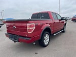 2010 F-150 Thumbnail 4