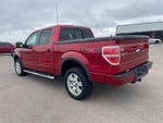 2010 F-150 Thumbnail 5