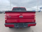2010 F-150 Thumbnail 8