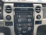 2010 F-150 Thumbnail 14