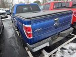 2010 F-150 Thumbnail 3