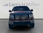 2010 F-150 Thumbnail 8