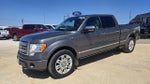 2010 F-150 Thumbnail 1