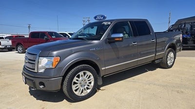 2010 Ford F-150 4X4 Platinum 4DR Supercrew Styleside 6.5 FT. SB
