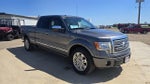 2010 F-150 Thumbnail 3