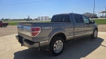 2010 F-150 Thumbnail 5