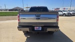 2010 F-150 Thumbnail 6
