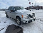 2010 F-150 Thumbnail 3
