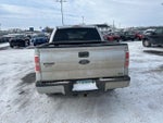 2010 F-150 Thumbnail 6