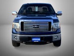 2010 F-150 Thumbnail 2