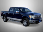 2010 F-150 Thumbnail 3
