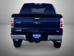 2010 F-150 Thumbnail 6