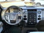 2010 F-150 Thumbnail 13