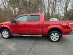 2010 F-150 Thumbnail 6