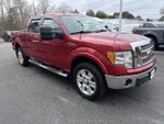 2010 F-150 Thumbnail 19