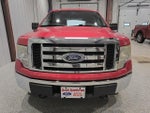 2010 F-150 Thumbnail 3