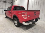 2010 F-150 Thumbnail 8