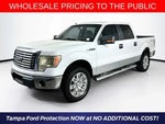 2010 F-150 Thumbnail 1