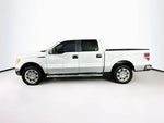 2010 F-150 Thumbnail 3