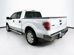 2010 F-150 Thumbnail 4