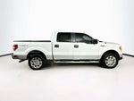 2010 F-150 Thumbnail 24