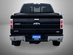 2010 F-150 Thumbnail 6
