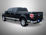 2010 F-150 Thumbnail 7