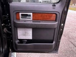 2010 F-150 Thumbnail 18