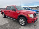2010 F-150 Thumbnail 1