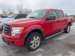 2010 F-150 Thumbnail 3