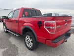 2010 F-150 Thumbnail 4