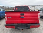 2010 F-150 Thumbnail 5