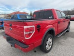 2010 F-150 Thumbnail 6
