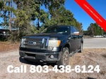 2010 F-150 Thumbnail 2