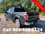 2010 F-150 Thumbnail 3
