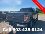 2010 F-150 Thumbnail 4