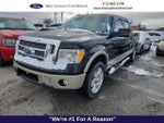 2010 F-150 Thumbnail 4