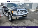 2010 F-150 Thumbnail 5