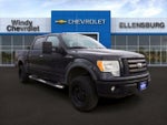 2010 F-150 Thumbnail 1