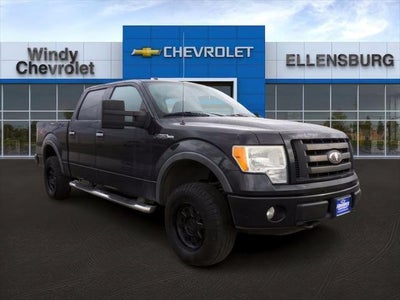 2010 Ford F-150 4X4 Platinum 4DR Supercrew Styleside 5.5 FT. SB