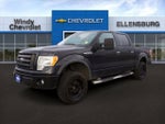 2010 F-150 Thumbnail 3