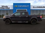 2010 F-150 Thumbnail 4